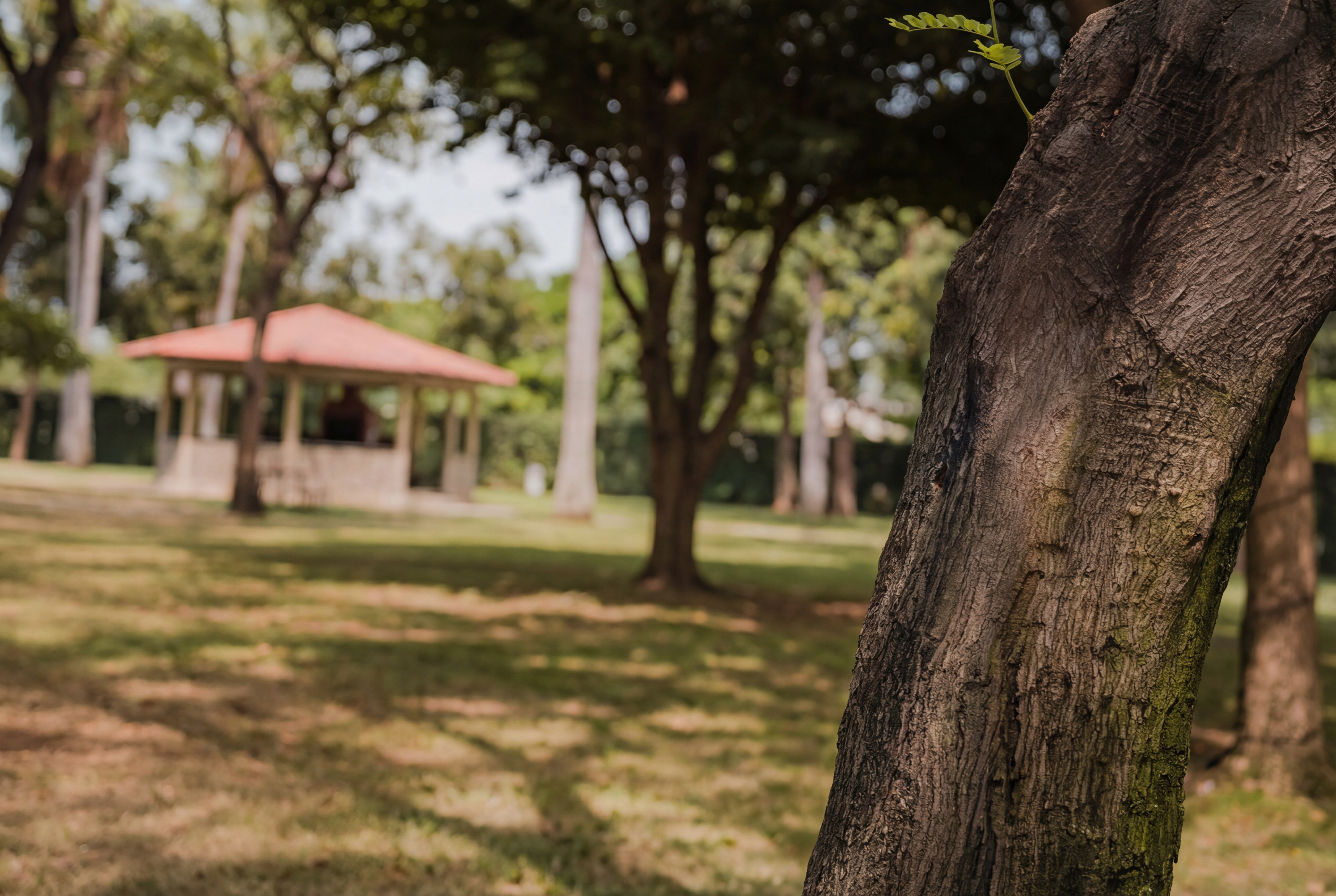romantic scene of couple